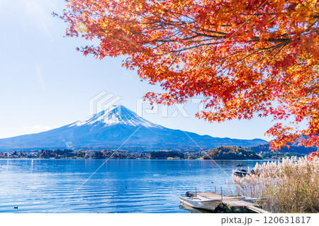 【山梨県】河口湖畔のモミジ紅葉と富士山 120631817