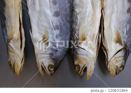 香港・徳輔道西で売られる塩干し魚(ハムユイ)。クサヤに似ていで臭いが美味。かつては安かったが今は高価 香港・徳輔道西で売られる塩干し魚(ハムユイ)。クサヤに似ていで臭いが美味。かつては安かったが今は高価 120631864
