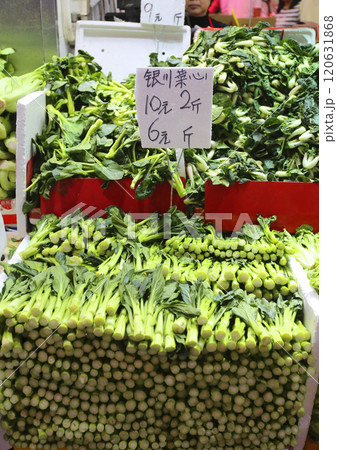 香港の市場で売られるカイラン(菜心)。最もポピュラーで香港人が好きな野菜 香港の市場で売られるカイラン(菜心)。最もポピュラーで香港人が好きな野菜 120631868