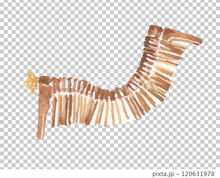 水彩で描いた瓶座皿のイラスト 水彩で描いた瓶座皿のイラスト 120631978