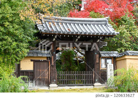 京都 萩の霊場 迎称寺 120633627