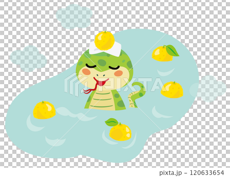 冬至時蛇沐浴柚子 120633654