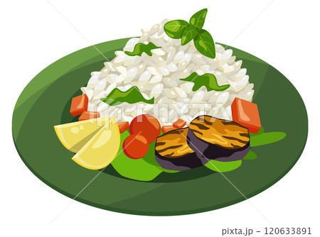 Biryani dish plate. Traditional asian rice meal 120633891
