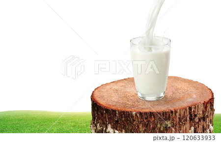 Glass of milk on a natural tree stump. 120633933