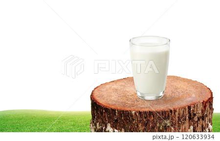 Glass of milk on a natural tree stump. 120633934