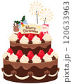 豪華なチョコとクリームのクリスマスケーキ 120633963