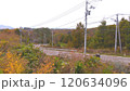 紅葉の山の間を坂道が下に抜けていく 120634096