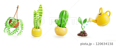 3d set of house plant in flower and hanging pot for home interior, garden. Isolated creeper vine, sansevieria, exotic cactus, green sprout in soil, watering can with water drop render. 3D illustration 120634138