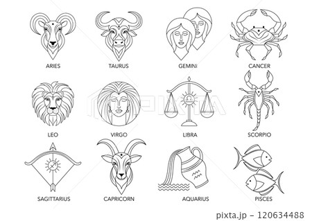 Collection of zodiac signs in line art style. 120634488