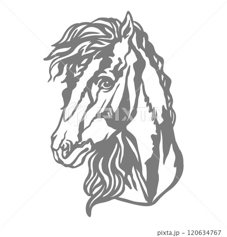Horse illustration stamp template vector illustration 120634767