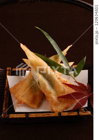 和風春巻き 120634801