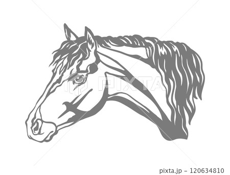 Horse or pony illustration stencil template vector illustration 120634810