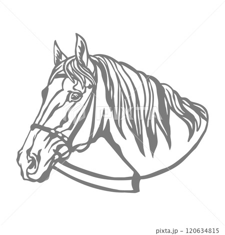 Horse with bridle illustration stencil template vector illustration 120634815