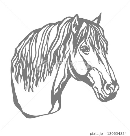 Horse head illustration stencil template vector illustration 120634824