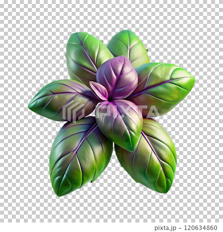 3d render of beautiful colorful Basil 3d render of beautiful colorful Basil 120634860