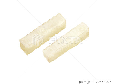 水彩手書きの寒天のベクターイラスト 120634907