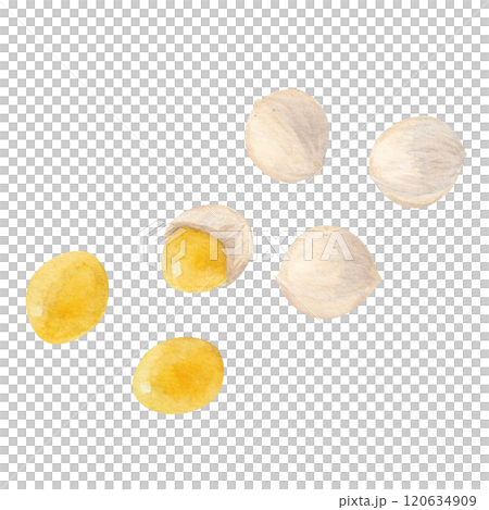 現實的銀杏光柵圖畫水彩 120634909