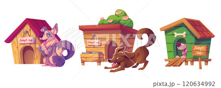 Cartoon pets awaiting adopt near wooden shelters. 120634992
