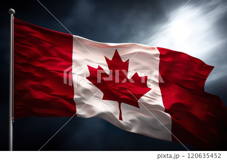 カナダ国旗のイメージ03 120635452