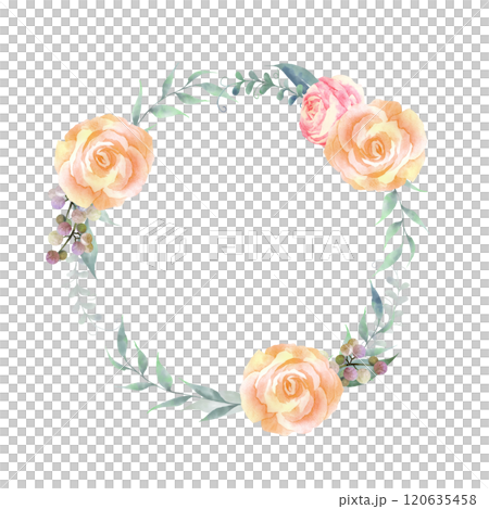 水彩で描いたオレンジ色の薔薇の円形フレーム 120635458