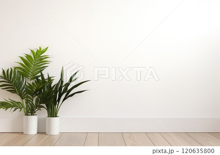 観葉植物と白背景02 120635800