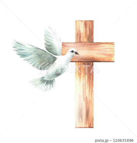 White dove with wooden cross. Flying bird pigeon, symbol of peace and Christian religion. Watercolor hand drawn illustration for Baptism, Christening or first communion card. Isolated from background 120635896