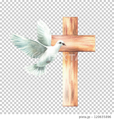 White dove with wooden cross. Flying bird pigeon, symbol of peace and Christian religion. Watercolor hand drawn illustration for Baptism, Christening or first communion card. Isolated from background 120635896