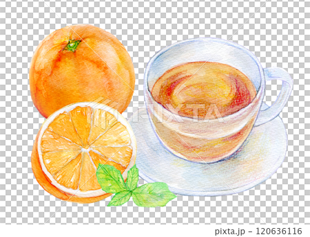 水彩イラスト　ドリンク　オレンジティー 120636116