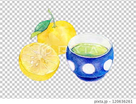 水彩イラスト ドリンク ゆず茶 水彩イラスト ドリンク ゆず茶 120636261