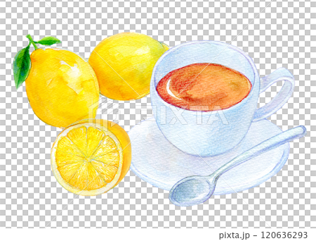 Watercolor illustration Hot drink Lemon tea 120636293