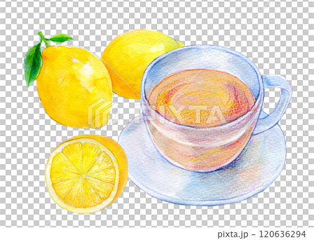 水彩イラスト　ホットドリンク　レモンティー 120636294