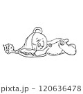 Vector illustration sleeping cute cartoon bear hand drawn in doodle style 120636478