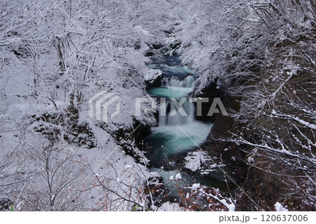 真っ白な霧氷の中を段々に流れ落ちる鳳鳴四十八滝の冬景色　Ver3 120637006
