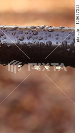 錆びた鉄パイプに滴る雨水 錆びた鉄パイプに滴る雨水 120637013