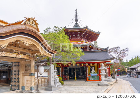 高野山 成福院 摩尼宝塔 高野山 成福院 摩尼宝塔 120637030