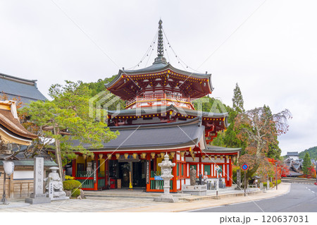 高野山 成福院 摩尼宝塔 高野山 成福院 摩尼宝塔 120637031