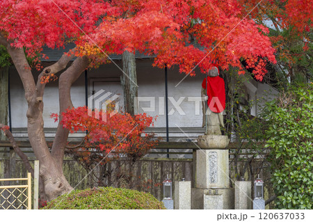 高野山　紅葉に包まれた安全地蔵尊 120637033