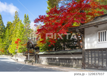 高野山　紅葉に包まれた参道 120637037