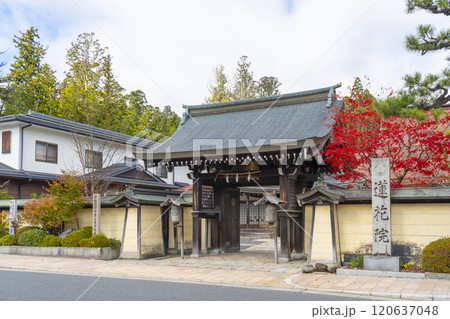 高野山　紅葉に包まれた蓮花院 120637048