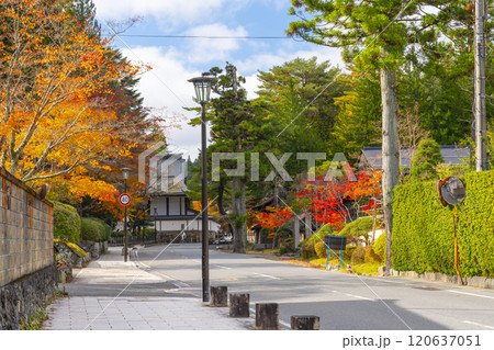 高野山　紅葉に包まれた参道 120637051