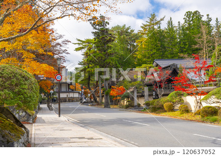 高野山 紅葉に包まれた参道 高野山 紅葉に包まれた参道 120637052