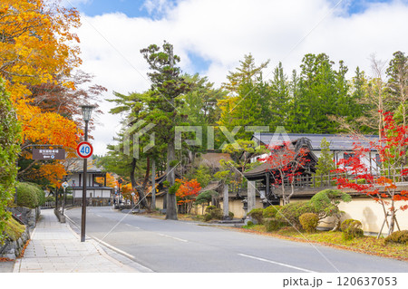 高野山 紅葉に包まれた参道 高野山 紅葉に包まれた参道 120637053