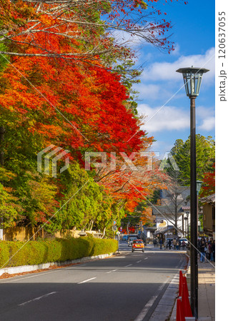 高野山 紅葉に包まれた参道 高野山 紅葉に包まれた参道 120637055