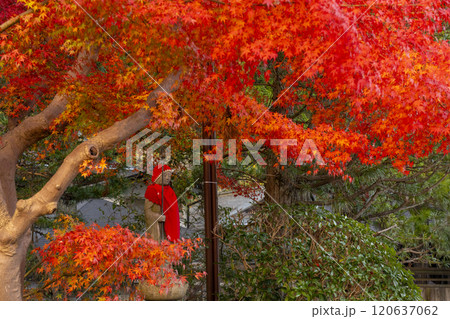 高野山　紅葉に包まれた安全地蔵尊 120637062