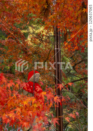 高野山 紅葉に包まれた安全地蔵尊 高野山 紅葉に包まれた安全地蔵尊 120637065