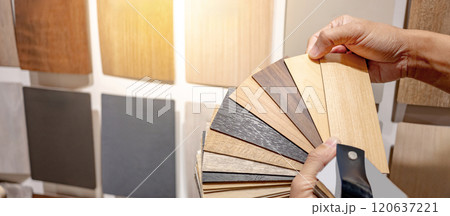 Designer hand picking sample of wood laminated from natural collection Designer hand picking sample of wood laminated from natural collection 120637221