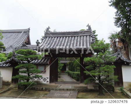 兵庫県加古川市にある刀田山鶴林寺とたさんかくりんじ、聖徳太子開基伝承をもつ寺院 兵庫県加古川市にある刀田山鶴林寺とたさんかくりんじ、聖徳太子開基伝承をもつ寺院 120637476