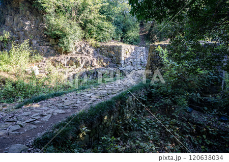 群馬 金山城の物見台下堀切(太田市) 群馬 金山城の物見台下堀切(太田市) 120638034