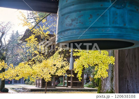 広徳寺の紅葉 広徳寺の紅葉 120638108
