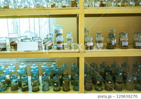 flasks and test tubes with animals in formaldehyde on shelves in biological scientific secret laboratory 120638270